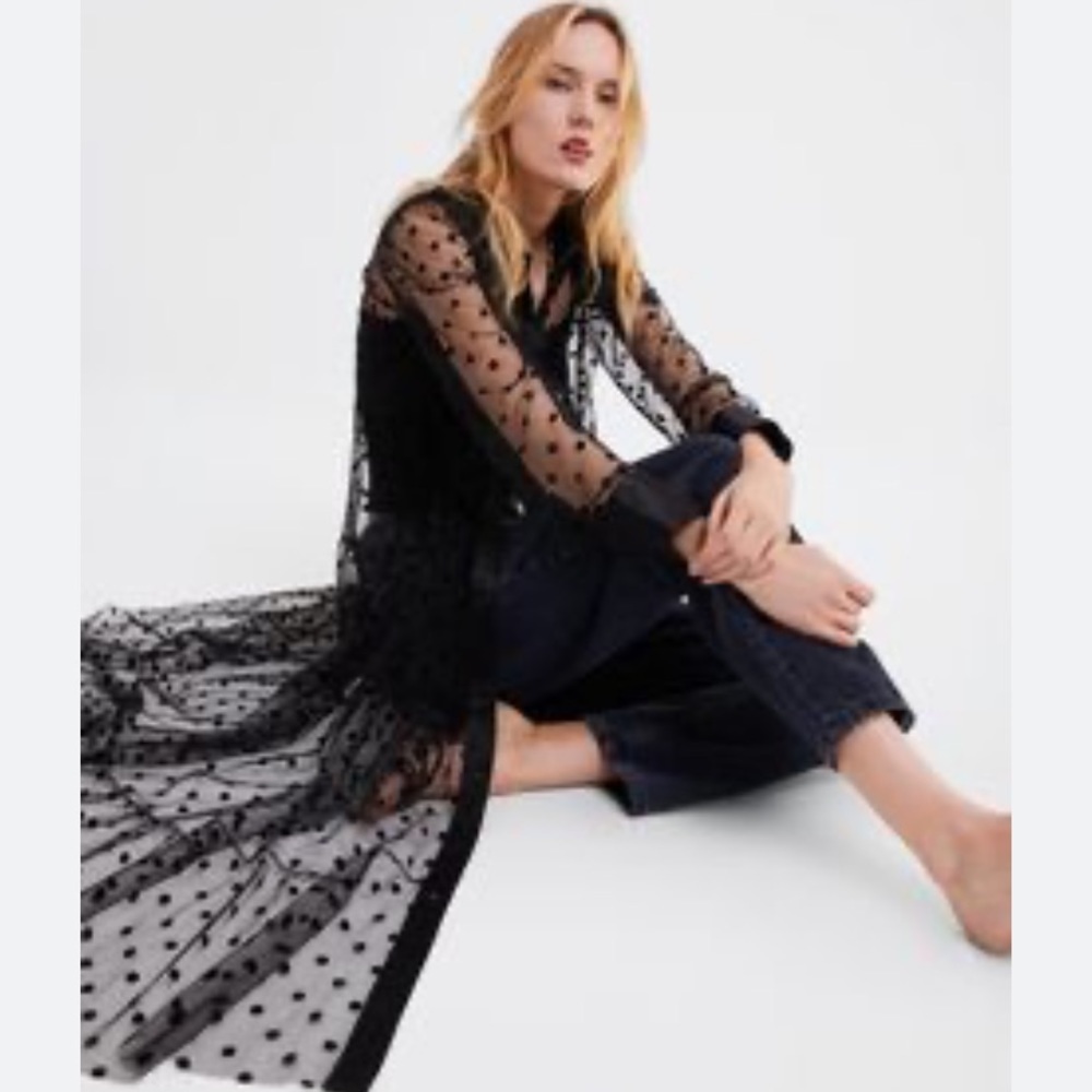 Zara Sheer Dot Midi Collared Long Sleeve
